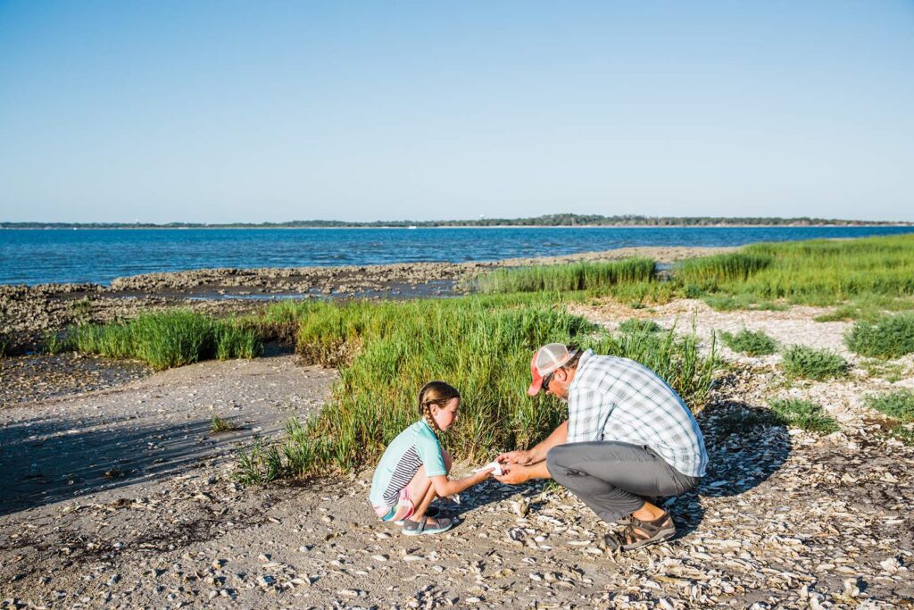 Discover Jekyll Island_s hidden gem Little Raccoon Key_11zon