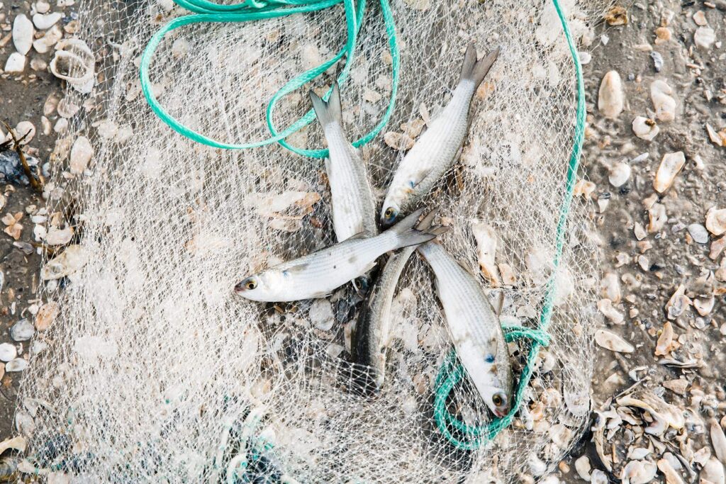 Discover Jekyll Island’s best-kept secret