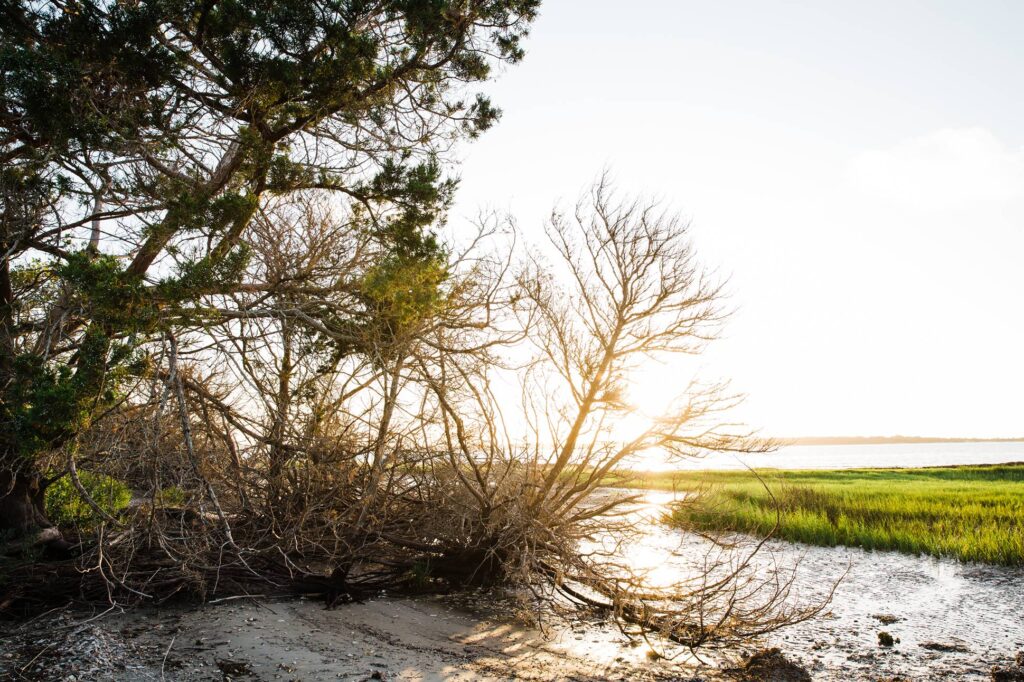 Little Raccoon Key coastal views_11zon