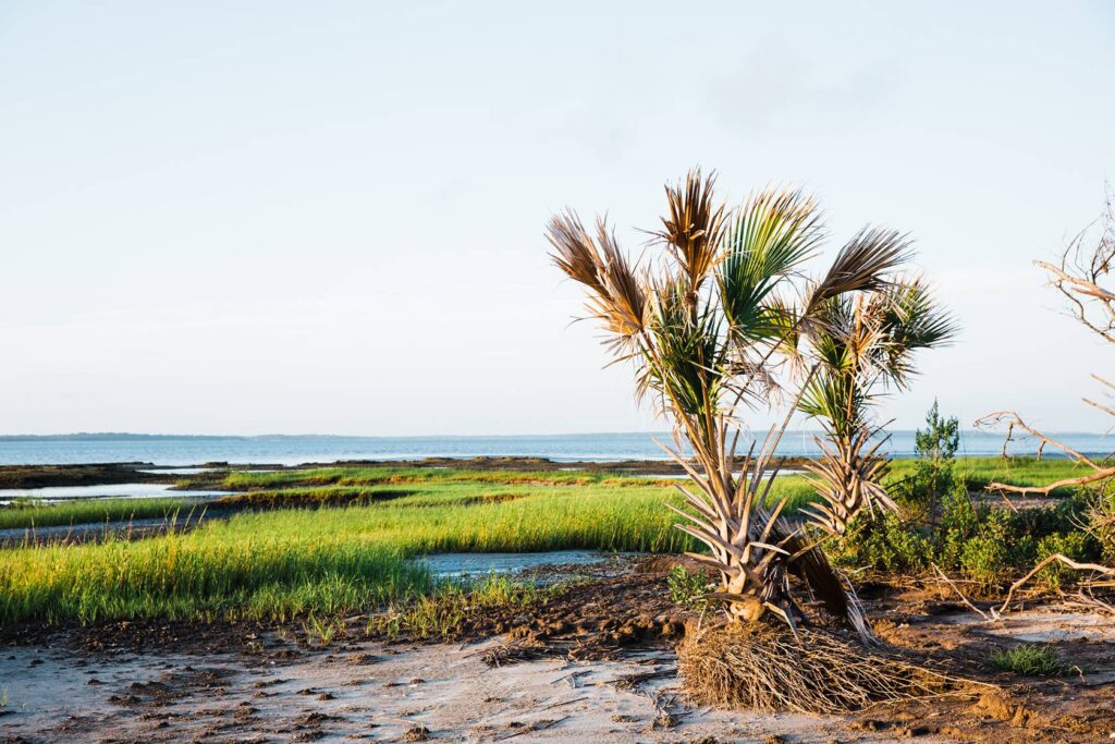 Little Raccoon Key glamping resort_11zon