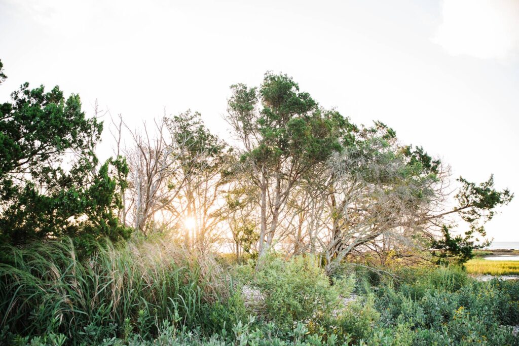 Little Raccoon Key golden hour_11zon